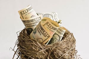 Nest Egg
